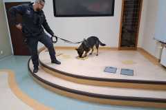 WhatsApp-Image-2022-12-05-at-14.06.31