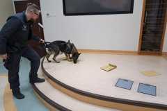 WhatsApp-Image-2022-12-05-at-14.06.33-1