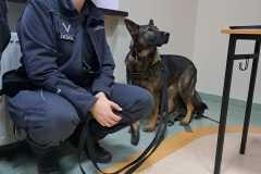 WhatsApp-Image-2022-12-05-at-14.06.40