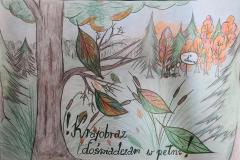 0_PDF-Scanner-11-11-22-4.11.13