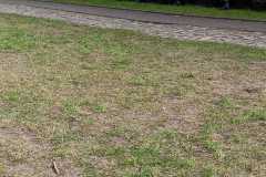 IMG-20240428-WA0135