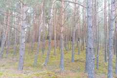 WhatsApp-Image-2022-10-26-at-20.17.42-1