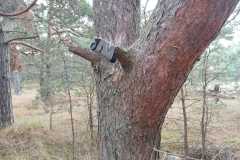 WhatsApp-Image-2022-10-26-at-20.44.50-1