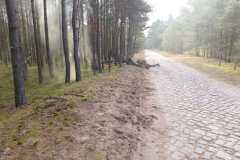 WhatsApp-Image-2022-10-26-at-20.44.50-2