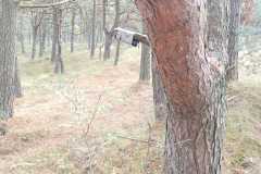 WhatsApp-Image-2022-10-26-at-20.44.51