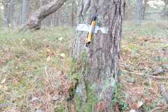 WhatsApp-Image-2022-10-26-at-20.44.52