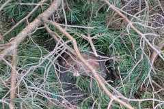 WhatsApp-Image-2023-05-09-at-06.26.36