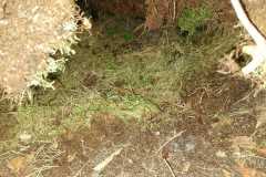 WhatsApp-Image-2023-04-18-at-20.18.44