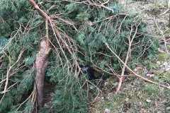 WhatsApp-Image-2023-04-20-at-19.50.27-1