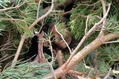 WhatsApp-Image-2023-05-22-at-12.49.46-1