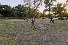 IMG_20190612_202429
