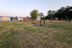 IMG_20190612_202442