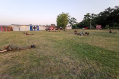 IMG_20190612_202503