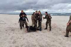 IMG-20241004-WA0026