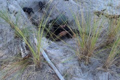 IMG-20241004-WA0085