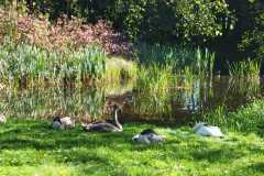 WhatsApp-Image-2023-09-15-at-14.15.06-1