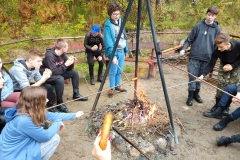 IMG_20191018_113602561