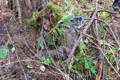 WhatsApp-Image-2022-10-25-at-07.46.49-1