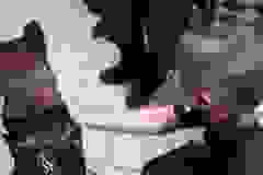 WhatsApp-Image-2024-03-09-at-07.20.10-3