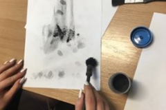 57021312_2221038224879276_2796292188101672960_n